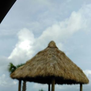 Meet your Posher, Joanna